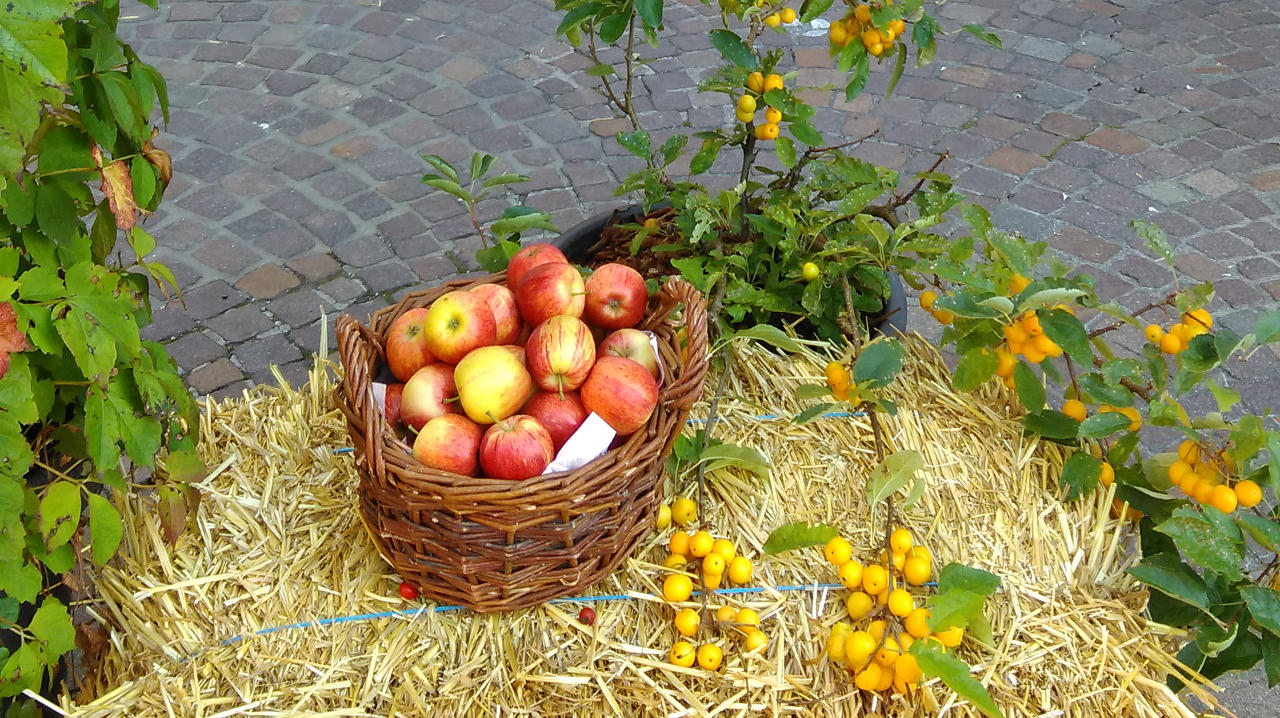 apfelfest-bei-blumenbusam Apfelfest Oberkirch