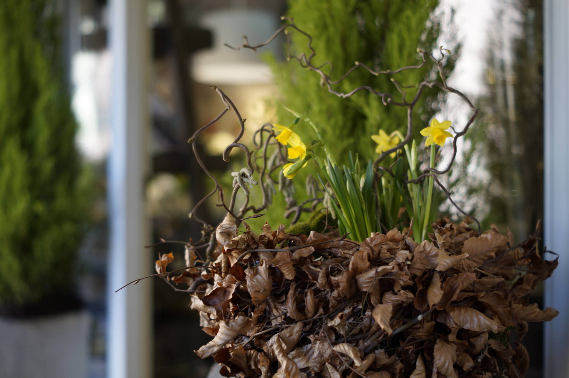 Ostern im Blumenhaus Busam Öffnungszeiten Blumenhaus Busam Ostern