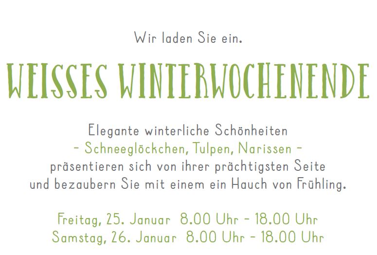 weisses winterwochenende