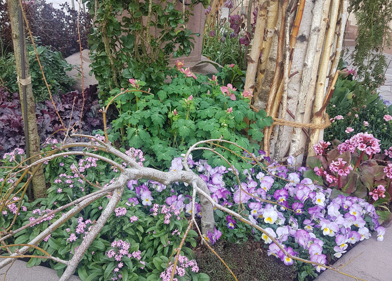 Löwenbrunnen oberkirch Blumenhaus Busam schmückt den Löwenbrunnen